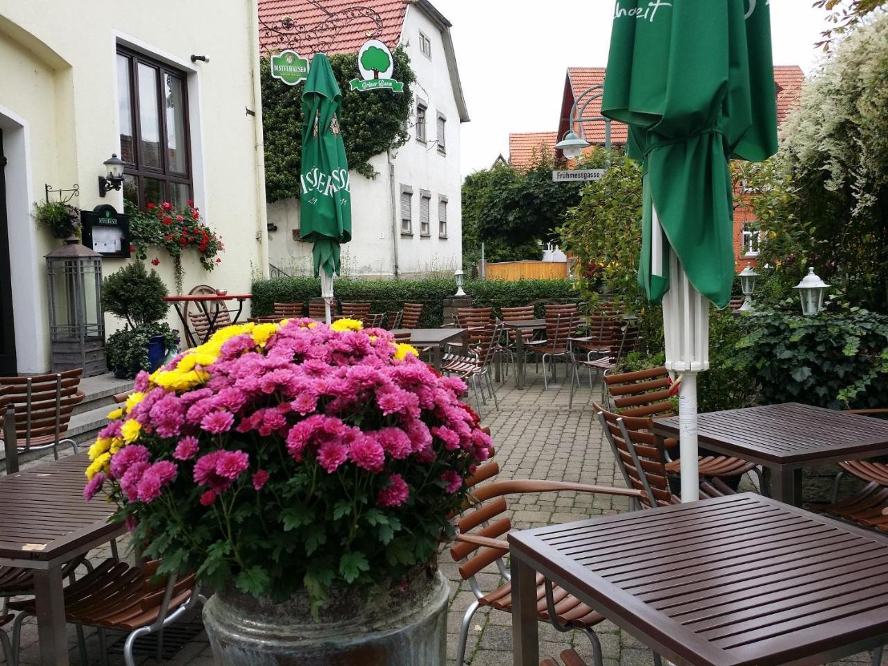 Hotel-Landgasthof Gruener Baum - Dittigheim Таубербишофсхайм Экстерьер фото
